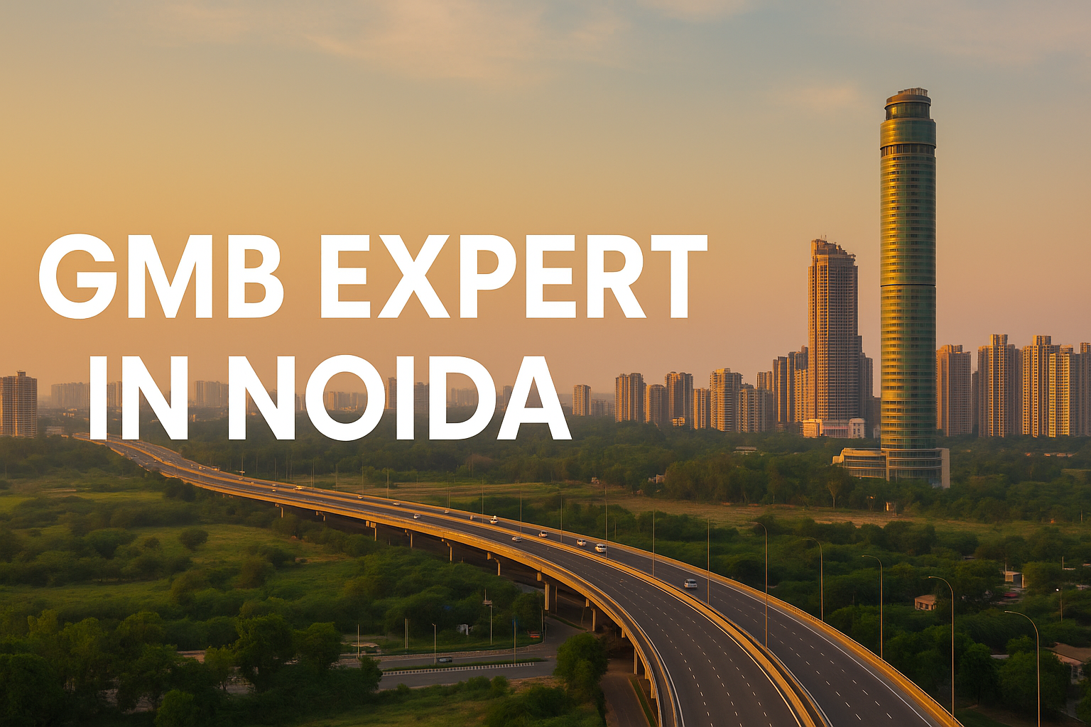 GMB Expert Noida- GMB Consultant in Noida
